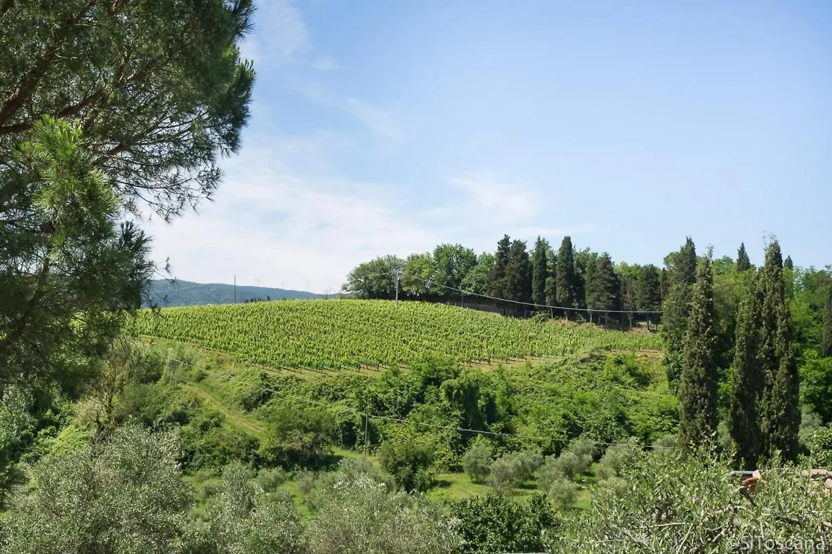 Agriturismo Terre Di Toscana Terricciola