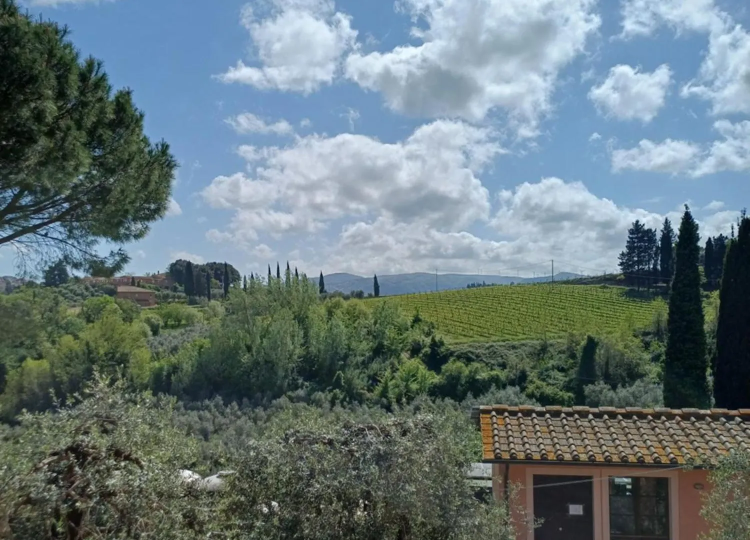 Agriturismo Terre Di Toscana Terricciola 0*,